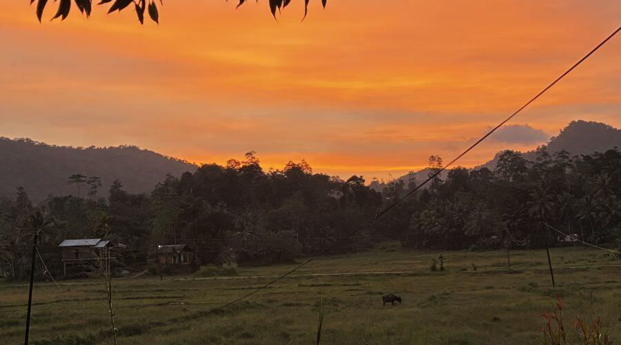 wakacje na sri lance